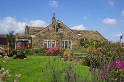 Badger Fields Farm