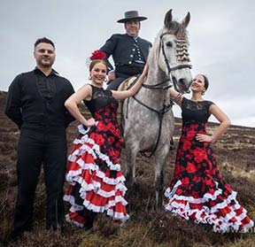 Spanish Horse and Flamenco Display