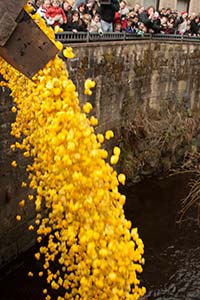 Duck Race