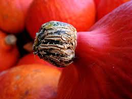 Pumpkins