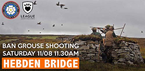 Ban grouse shooting