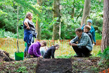 Celebrating our woodland heritage