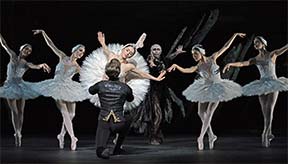 Swan Lake