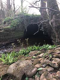 Culvert