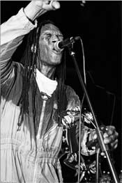The Beat featuring Ranking Roger