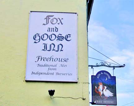 Fox and Goose