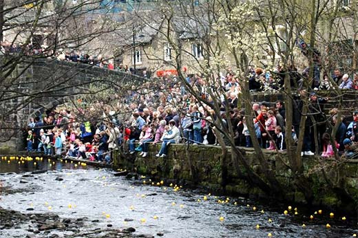 Duck race