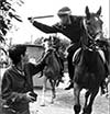 Orgreave