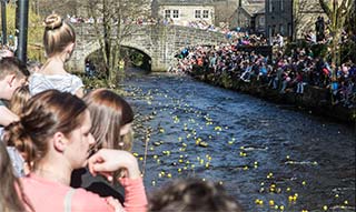 Duck Race