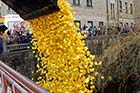 Duck Race