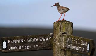 Which Way Next by Steve Midgley Photo competition