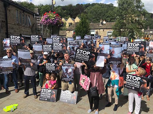 Grouse shooting demo