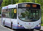 589 bus