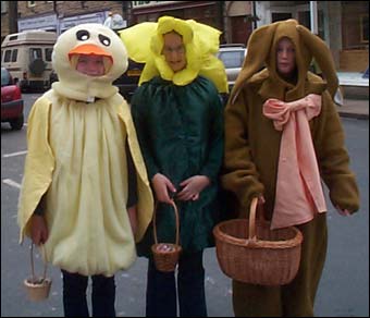 Easter Chick, Daffodil and Rabbit