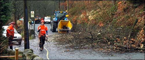 Tree Felling in Midgehole Road