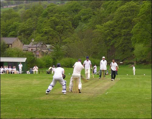Cricket at Salem