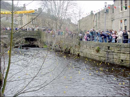 Duck Race 2001