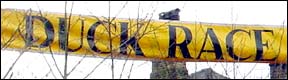 Duck Race 2001