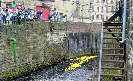 Duck Race 2001
